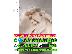 PoulaTo: Buy Methylone MDMA Mephedrone 4mmc 3-Cl-PCP Pentylone meth crystal white